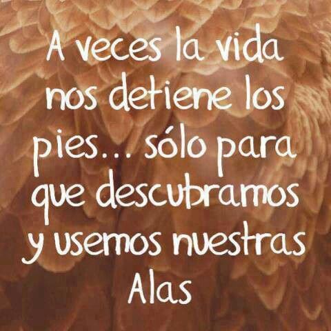 a veces la vida nos detiene