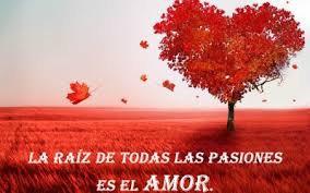 amor para Facebook