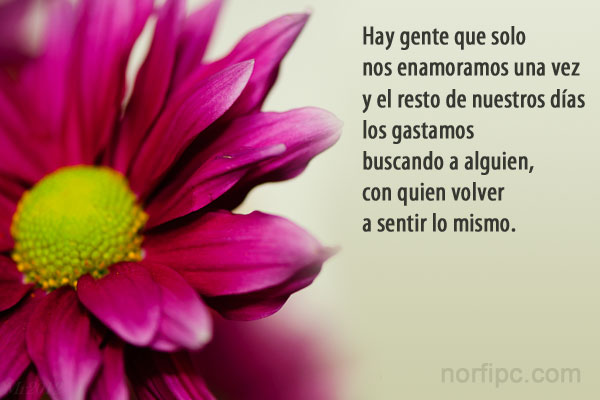 buscando