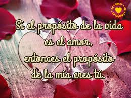 el proposito