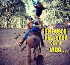 en busca