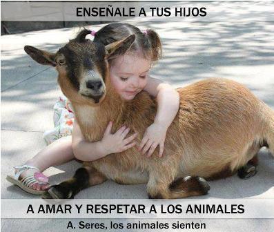 enseña a tus hijos a amar a los animales