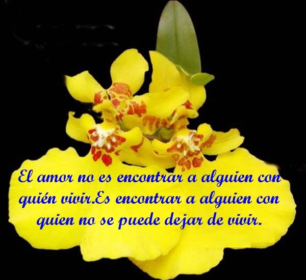no se puede