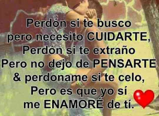 perdon si te busco