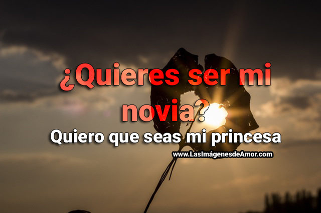imagenes-para-preguntar-si-quiere-ser-mi-novia