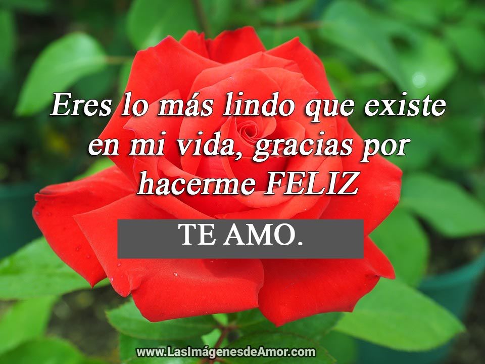Imagenes de amor para imprimir con mensajes