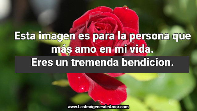 imagenes de amor
