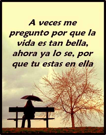 Frases de amor para demostrar que amas Frases de amor para demostrar que amas