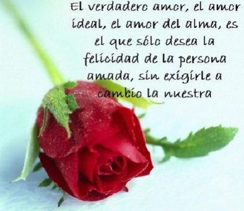 Imagenes para facebook de amor con rosas Imagenes para facebook de amor con rosas