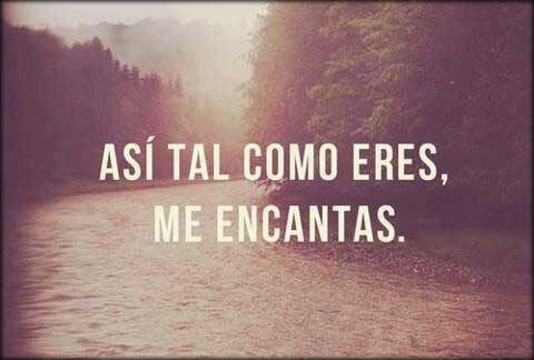 Dedicatorias de amor cortas me encantas Dedicatorias de amor cortas me encantas