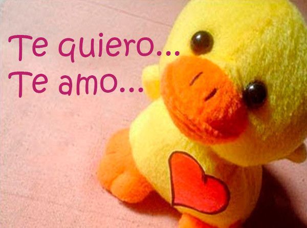 Dedicatorias de amor muy cortas Dedicatorias de amor muy cortas