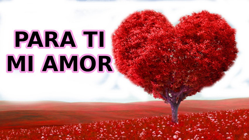 para el amor de mi vida imagenes para el amor de mi vida imagenes