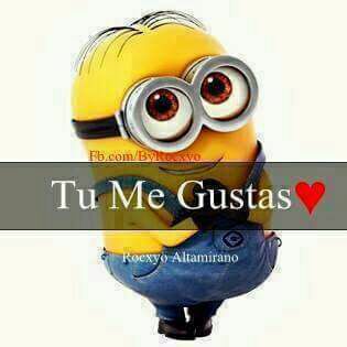 tu me gustas