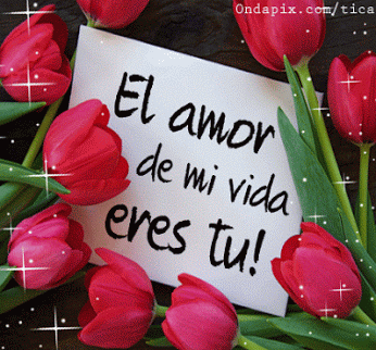 Imagenes con rosas y frases animado gif