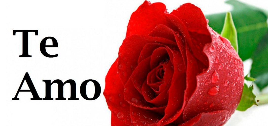 Rosa y un te amo imagen