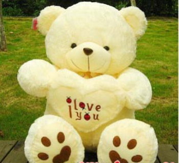 oso tierno imagen
