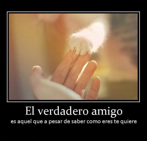 reflexiones de mejores amigos