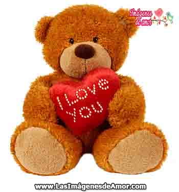 Imagenes con ositos love you