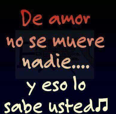 Frases de amor nadie se muere