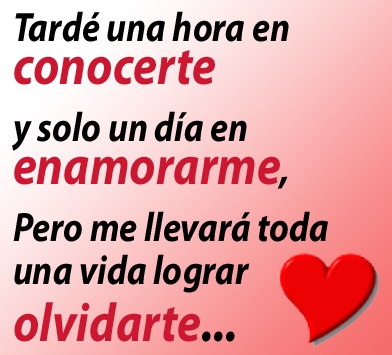 Frases con dedicatorias hermosas