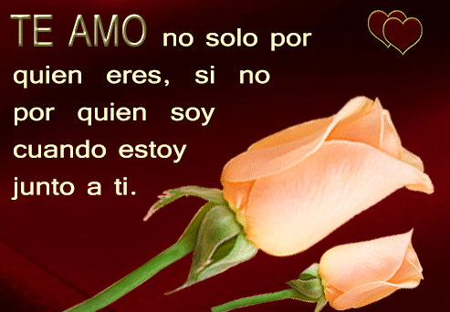 Frases con dedicatorias