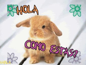 Hola como estas imagen