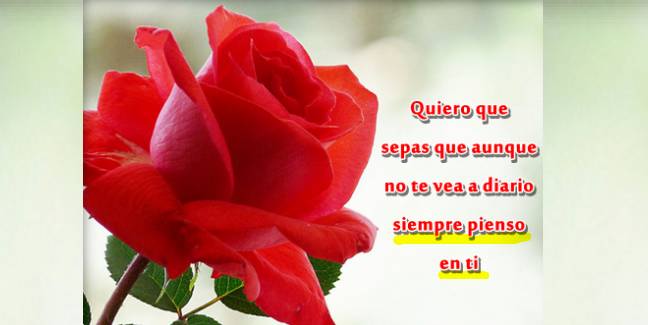 Siempre pienso en ti