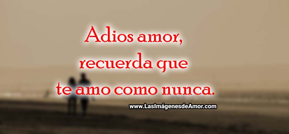 Imagenes con frases adios amor
