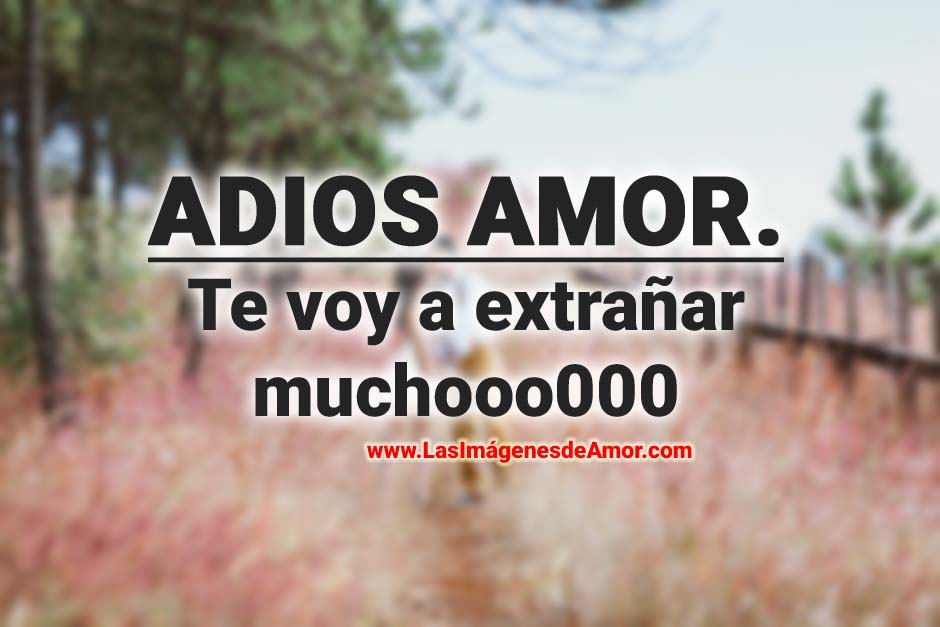Imagenes de adios amor