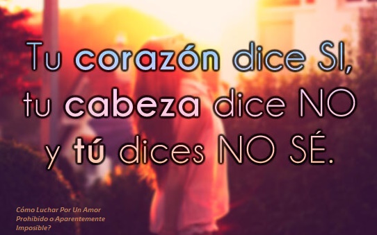 Frases acerca de luchar por un amor