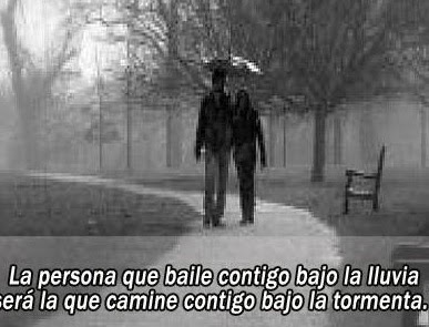 Frases bajo la lluvia