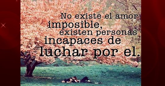 Luchar por amor frases