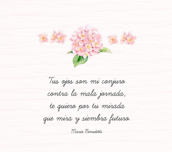 Mejores imagenes de amor