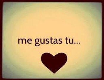 Un corazon me gustas tu