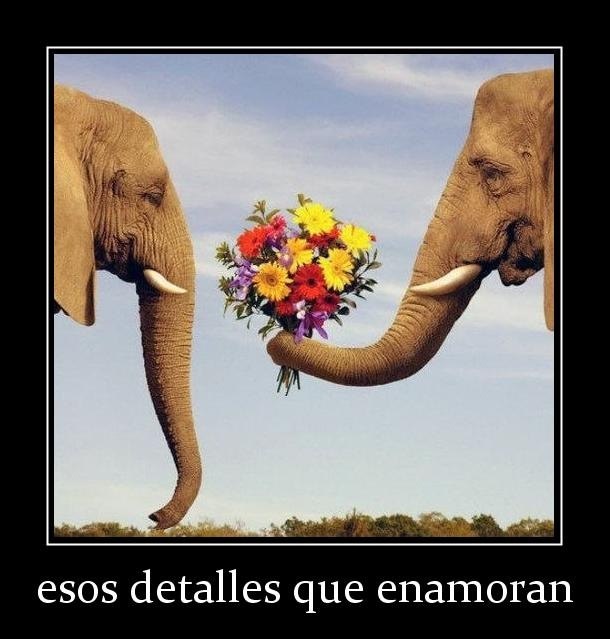 Por esos detalles que enamoran