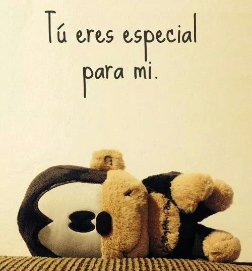 Tu eres muy especial para mi con peluche