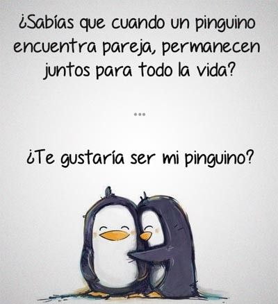 Imagenes de amor juntos para toda la vida fb