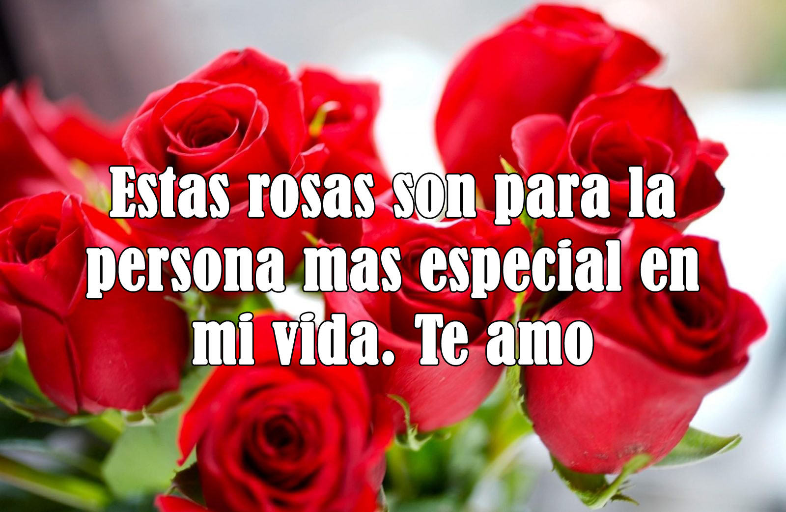 Imagenes con rosas para alguien especial