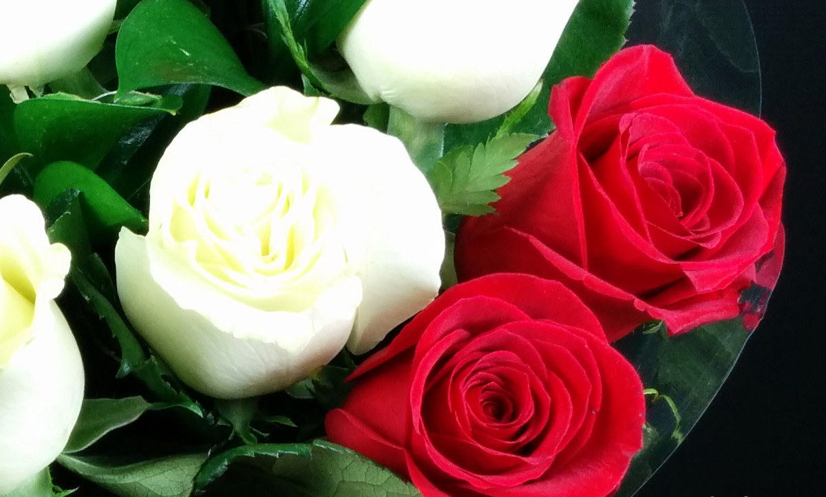 Imagenes con rosas para dedicar