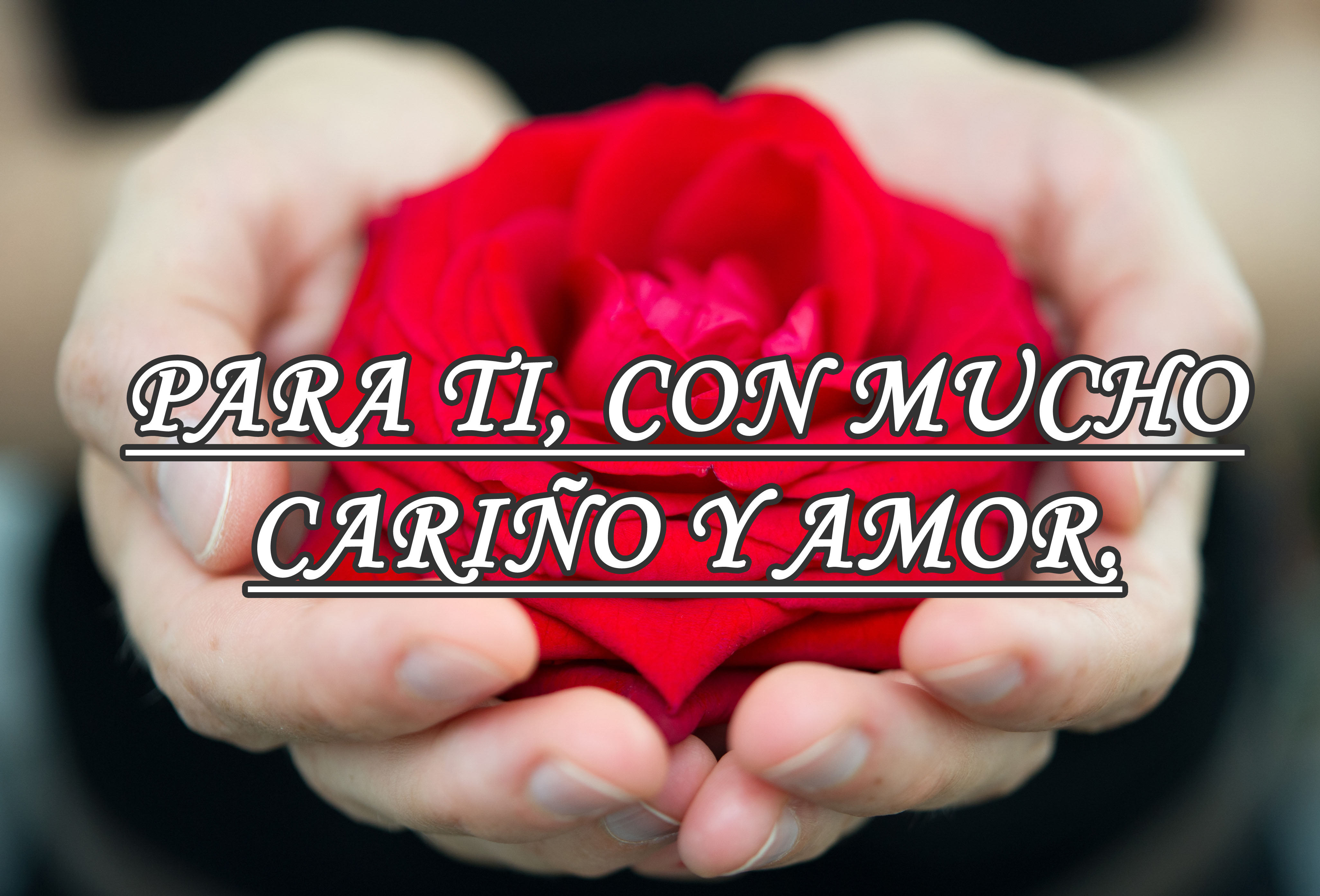 Una rosa para ti