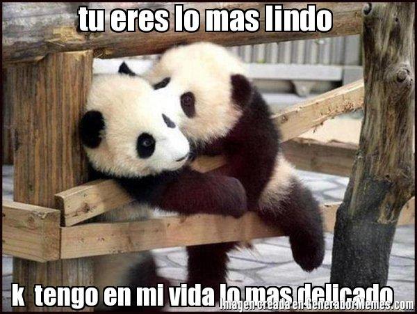 Eres lo mas lindo en mi vida con pandas